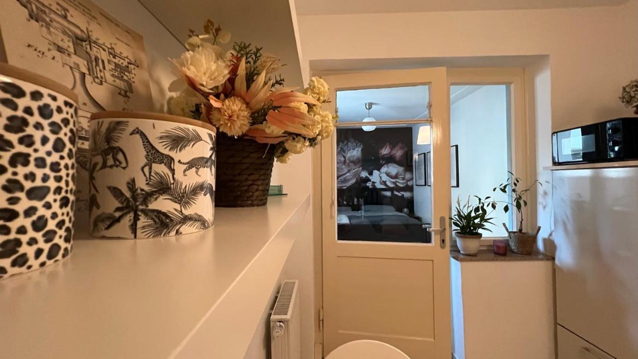 Designerwohnung Afrika Sehr Zentral Gelegen Hannover
