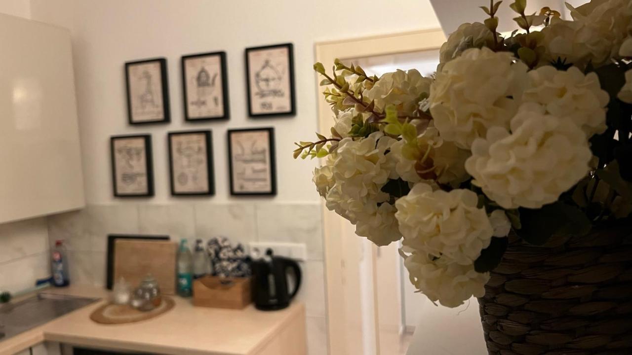 Apartment Designerwohnung Afrika Sehr Zentral Gelegen Hannover